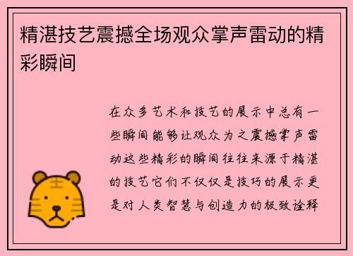 精湛技艺震撼全场观众掌声雷动的精彩瞬间
